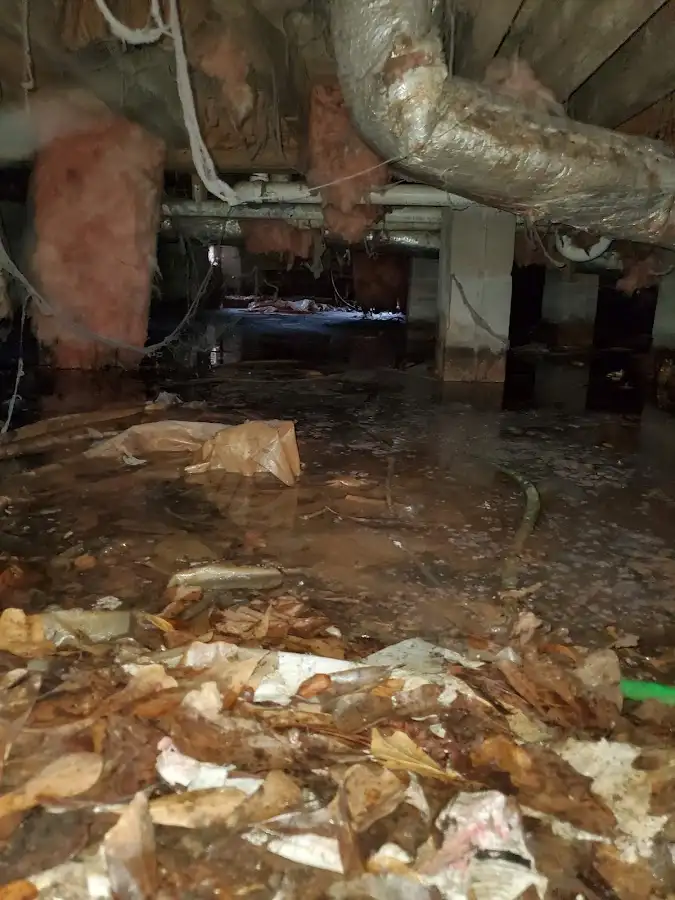 Crawl space flood assessment for Commercial Water Damage Restoration in East Niles