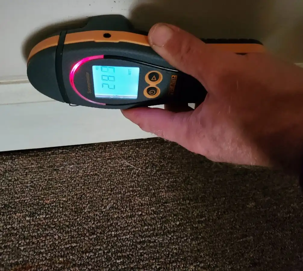 Moisture detection at baseboard during Mold Inspection & Testing in East Niles